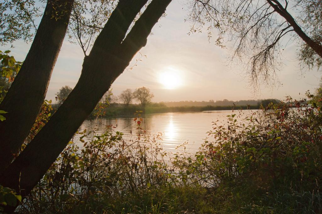 Seehotel Brandenburg An Der Havel Brielow Kültér fotó